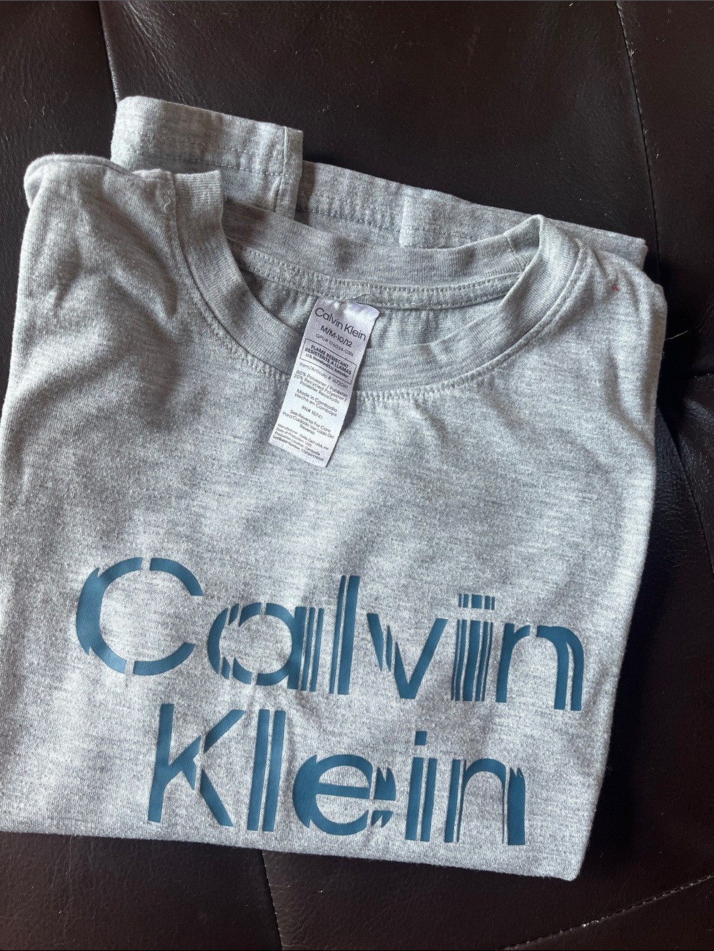 Calvin Klein Light Gray Tee with Blue Logo
